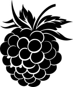 Raspberry