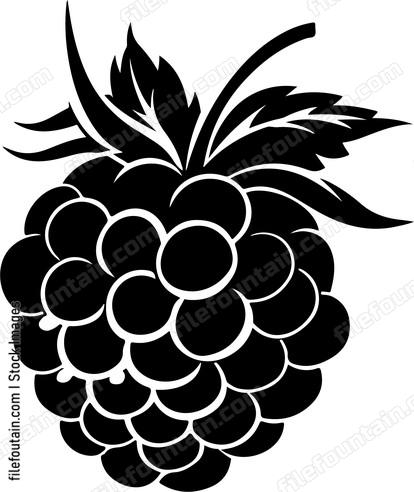 Raspberry