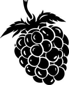 Raspberry
