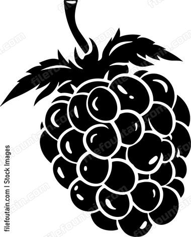 Raspberry