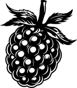 Raspberry