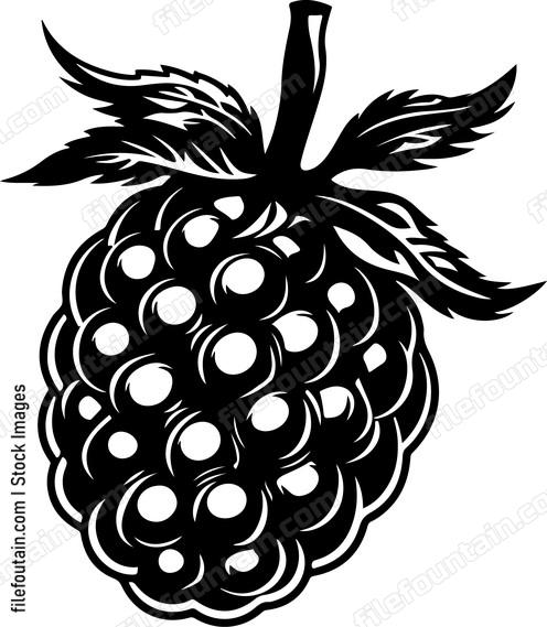 Raspberry