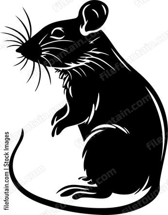 Rat Design