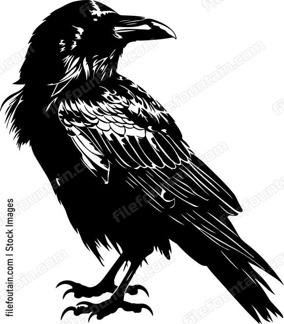 Raven
