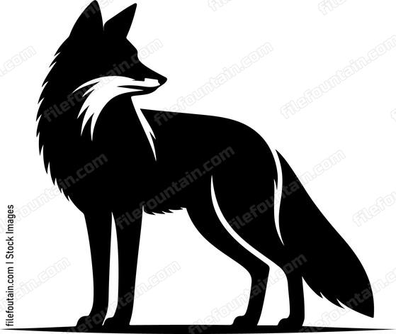 Red Fox