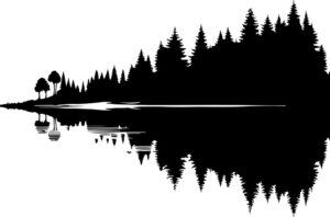 Reflectionxofxaxnearbyxforestxcompletexwithxitsxnocturnalxinhabitantsxonxthexlakex