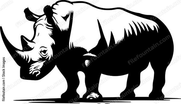 Rhino