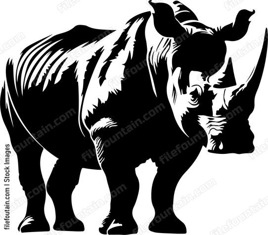Rhinoceros