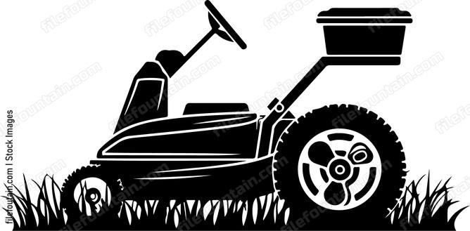 Riding Lawn Mower With Mul