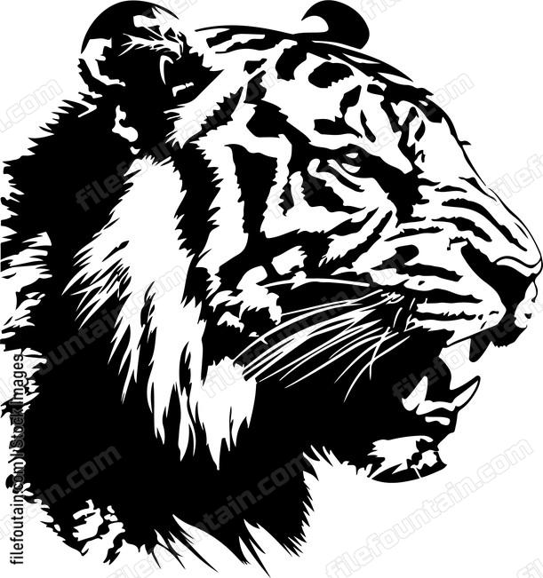 Roaring Tiger