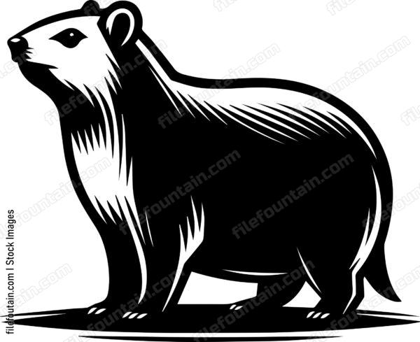 Rock Hyrax