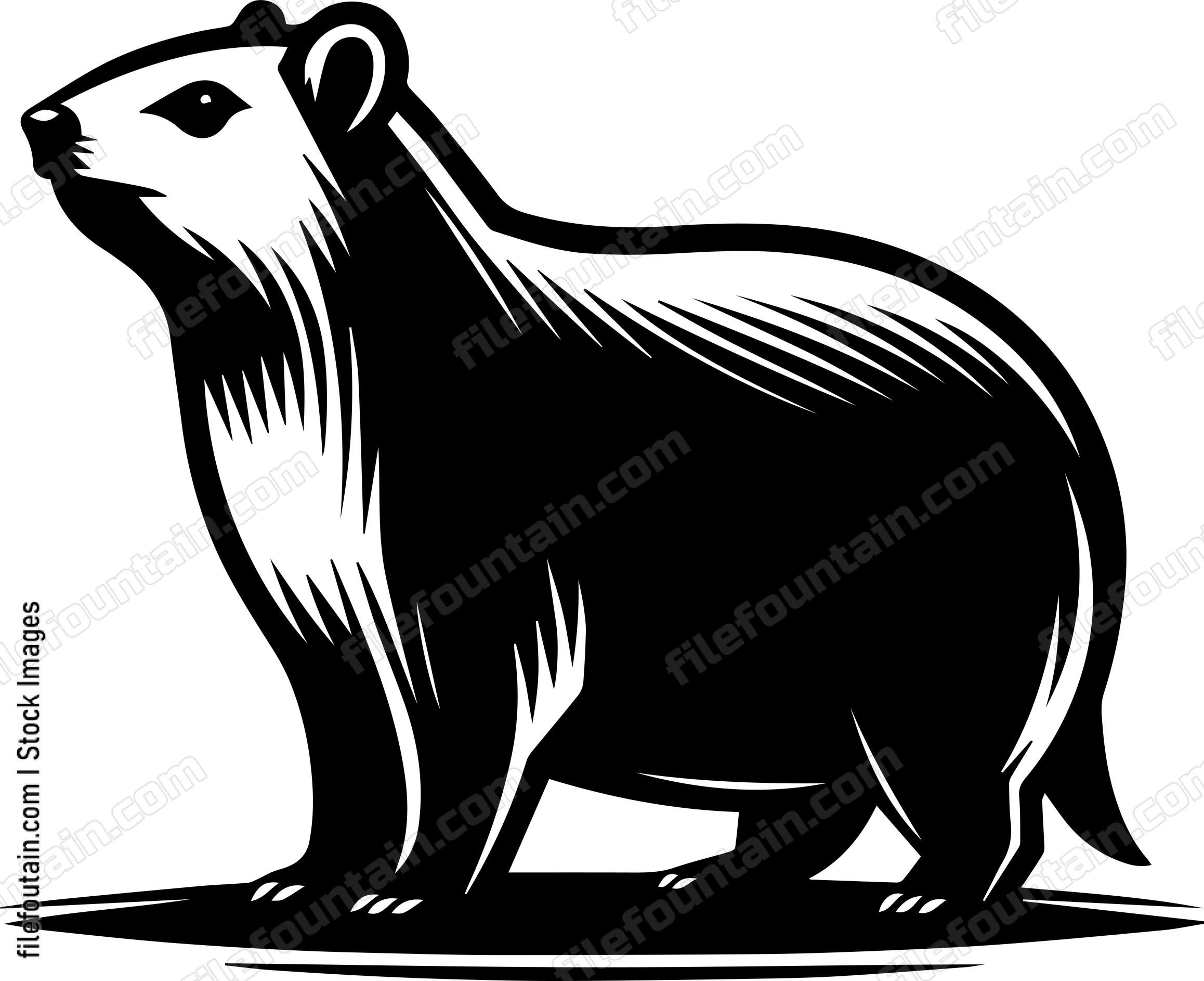 Rock Hyrax