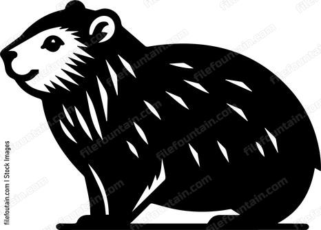 Rock Hyrax