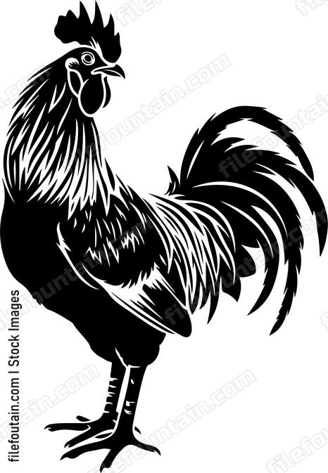 Rooster