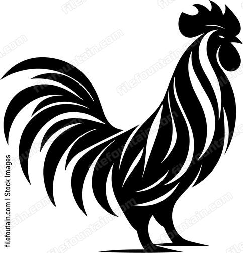 Rooster