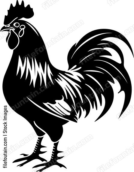 Rooster