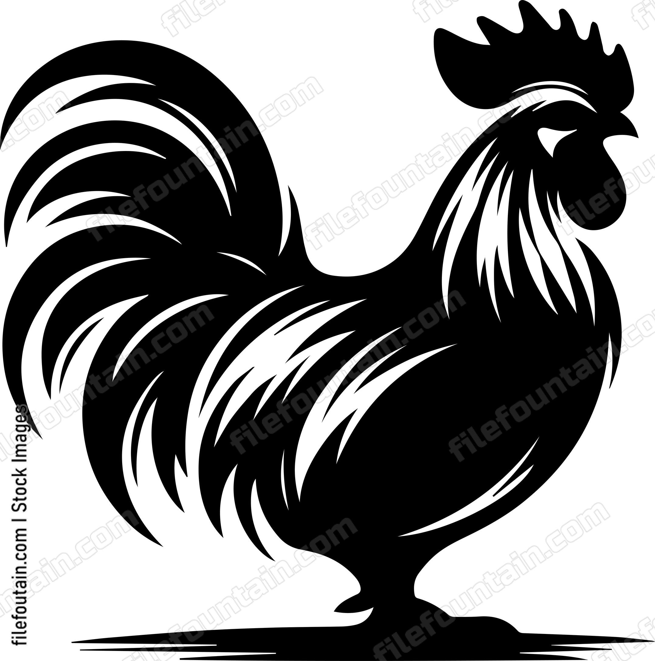 Rooster