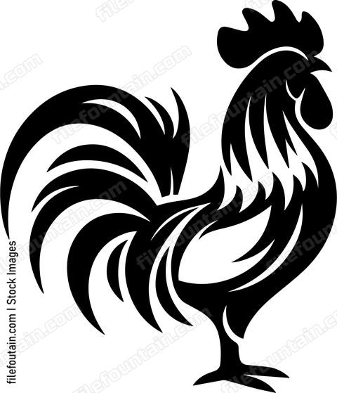 Rooster