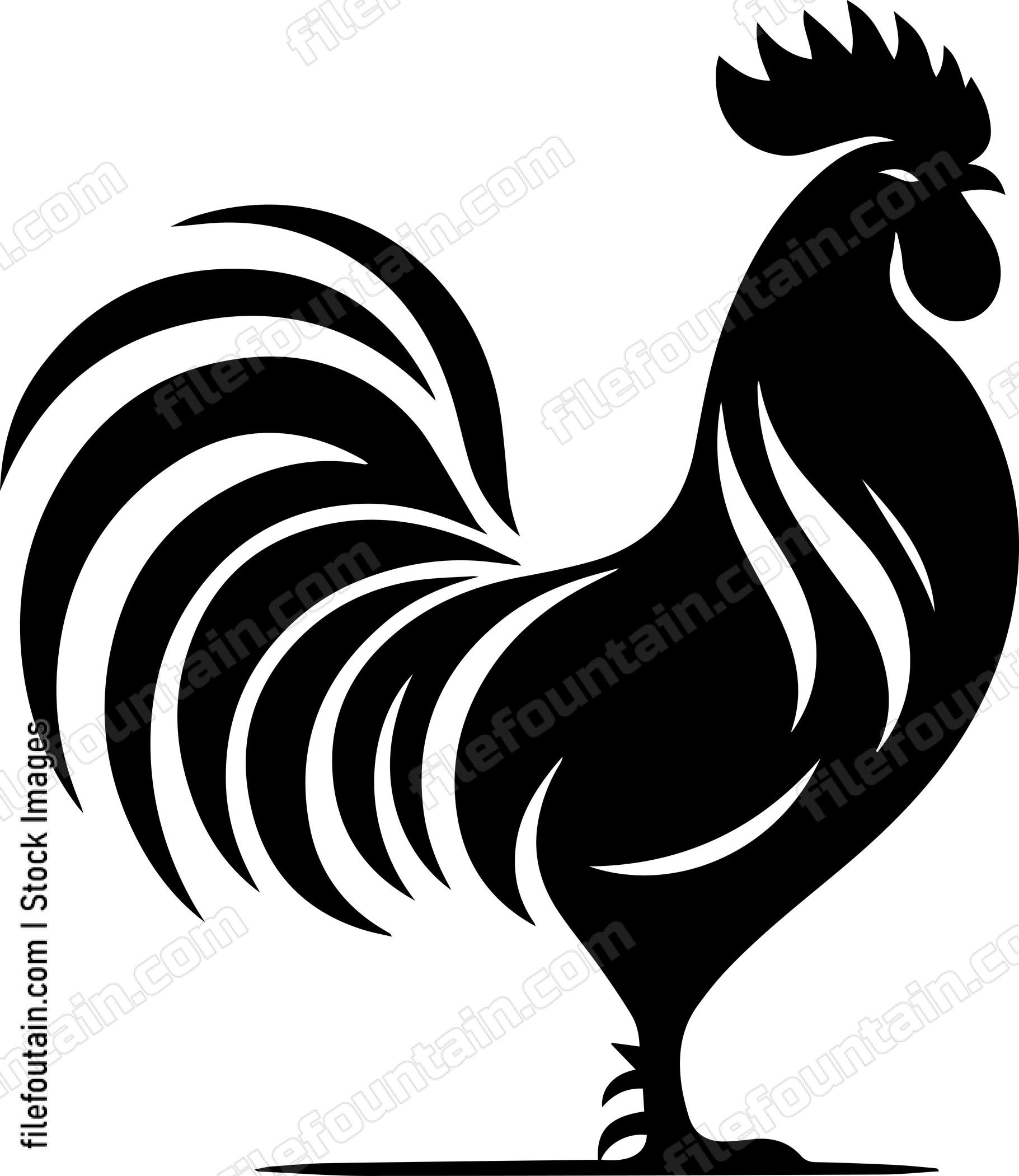 Rooster