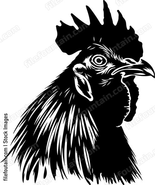 Rooster Head Crowing