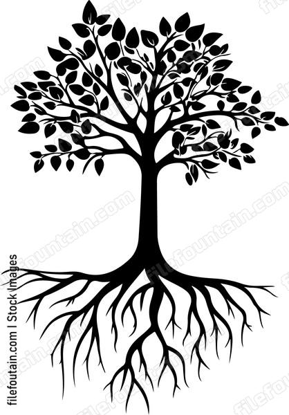 Roots