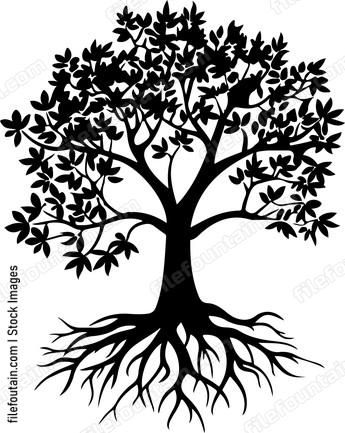 Roots