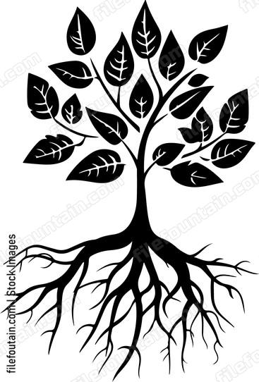 Roots