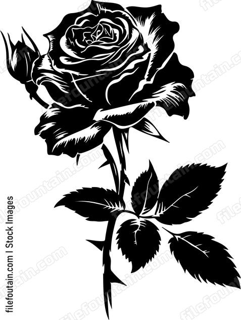 Rose Vector