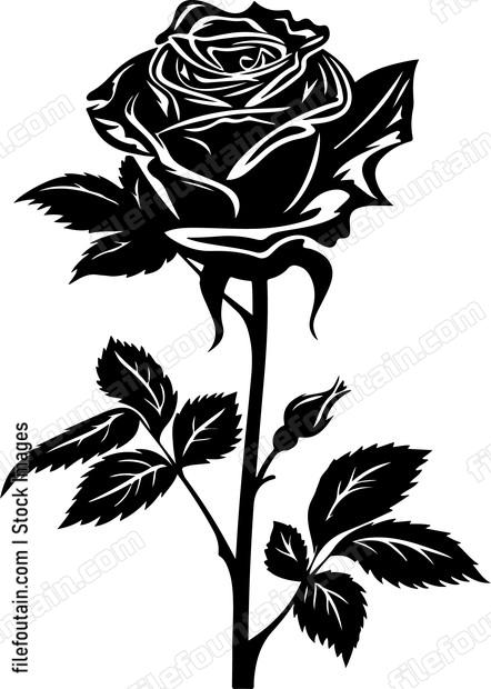 Rose Vector