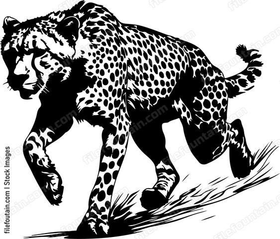 Running Cheetah
