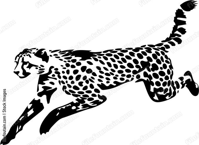 Running Cheetah And Sloth