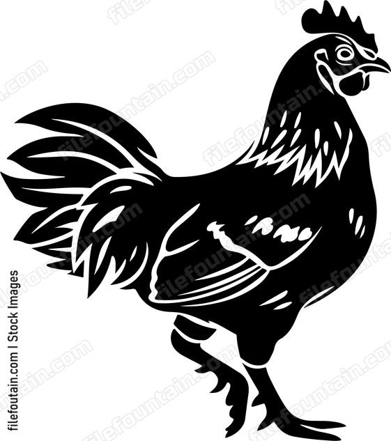 Running Chicken