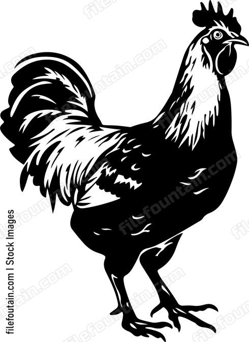 Running Chicken