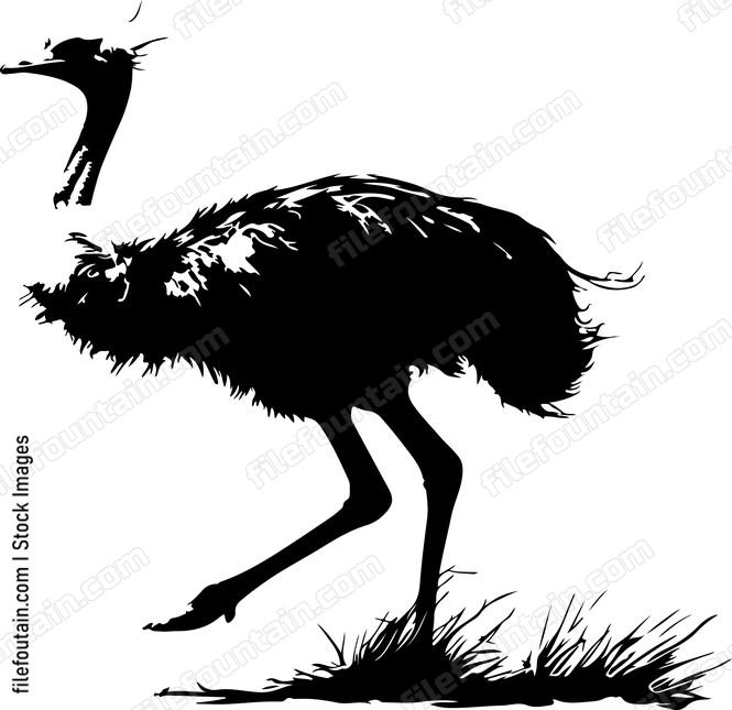 Running Ostrich