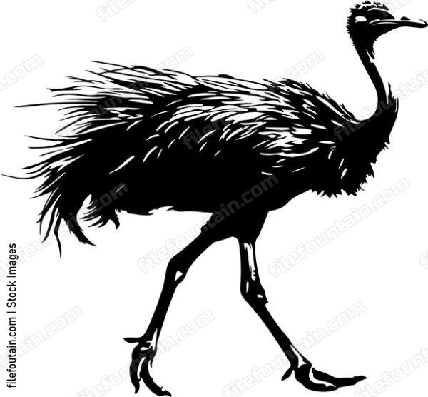 Running Ostrich