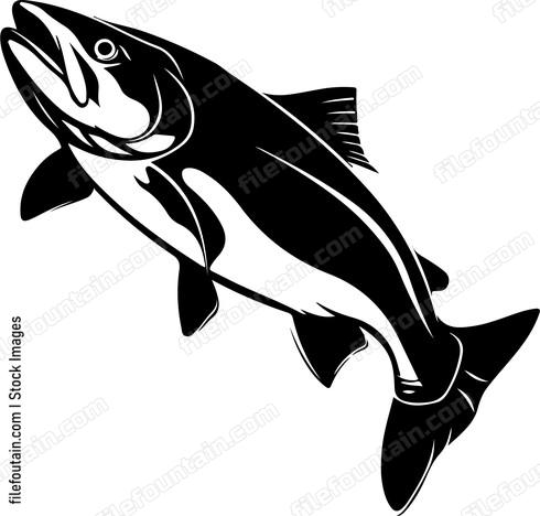 Salmon Fishing