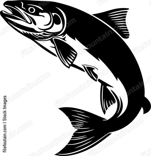 Salmon Fishing
