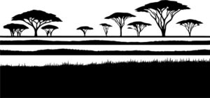 Savannah Landscape