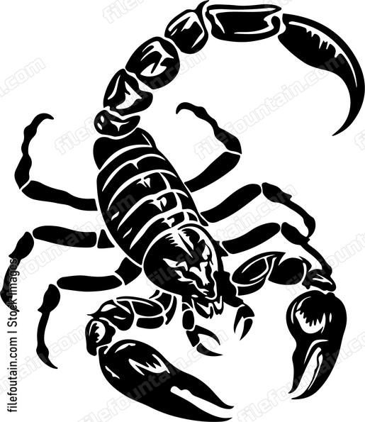 Scorpion