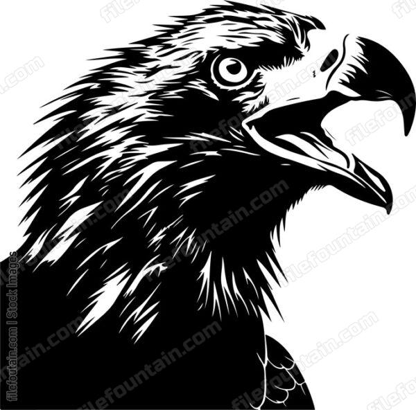 Screaming Bald Eagle