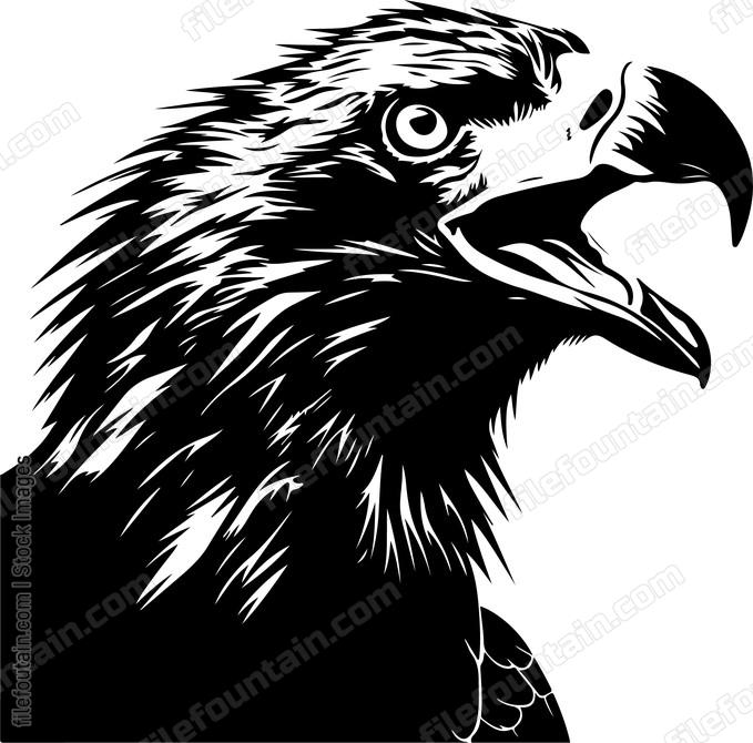 Screaming Bald Eagle