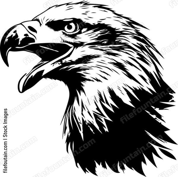 Screaming Bald Eagle