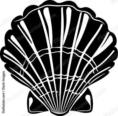 Seashell