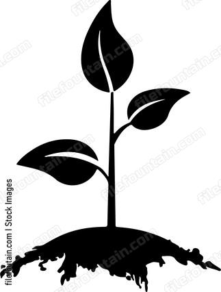 Seed Growing