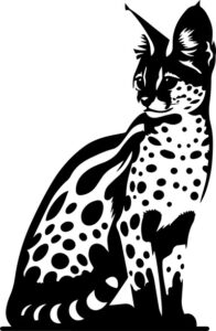 Serval Cat