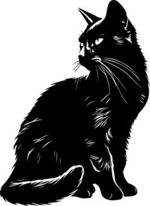 Shadow cat silhouette