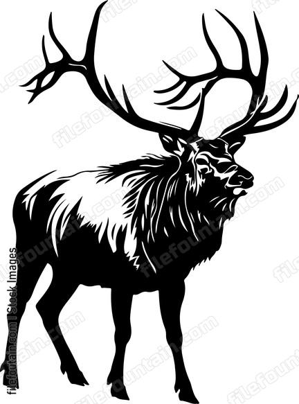 Shadowed majestic elk