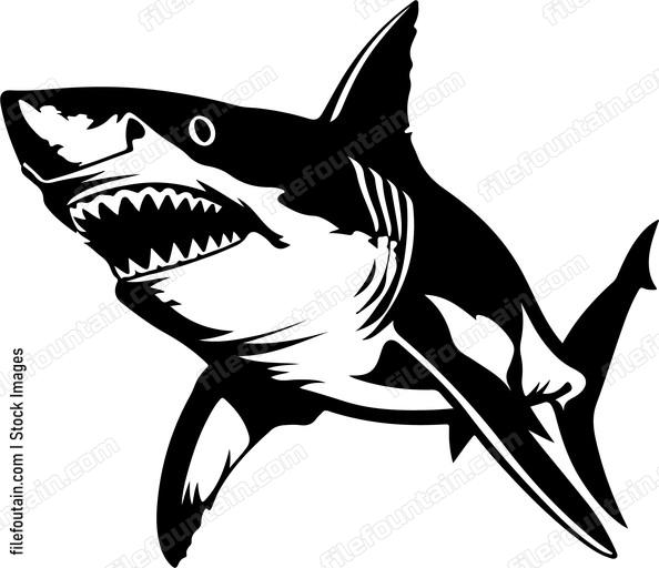 Shark Attacking Design