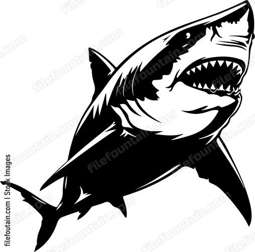 Shark Attacking Design
