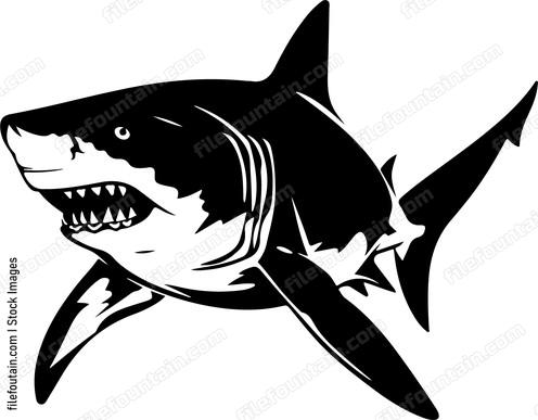 Shark Attacking Design